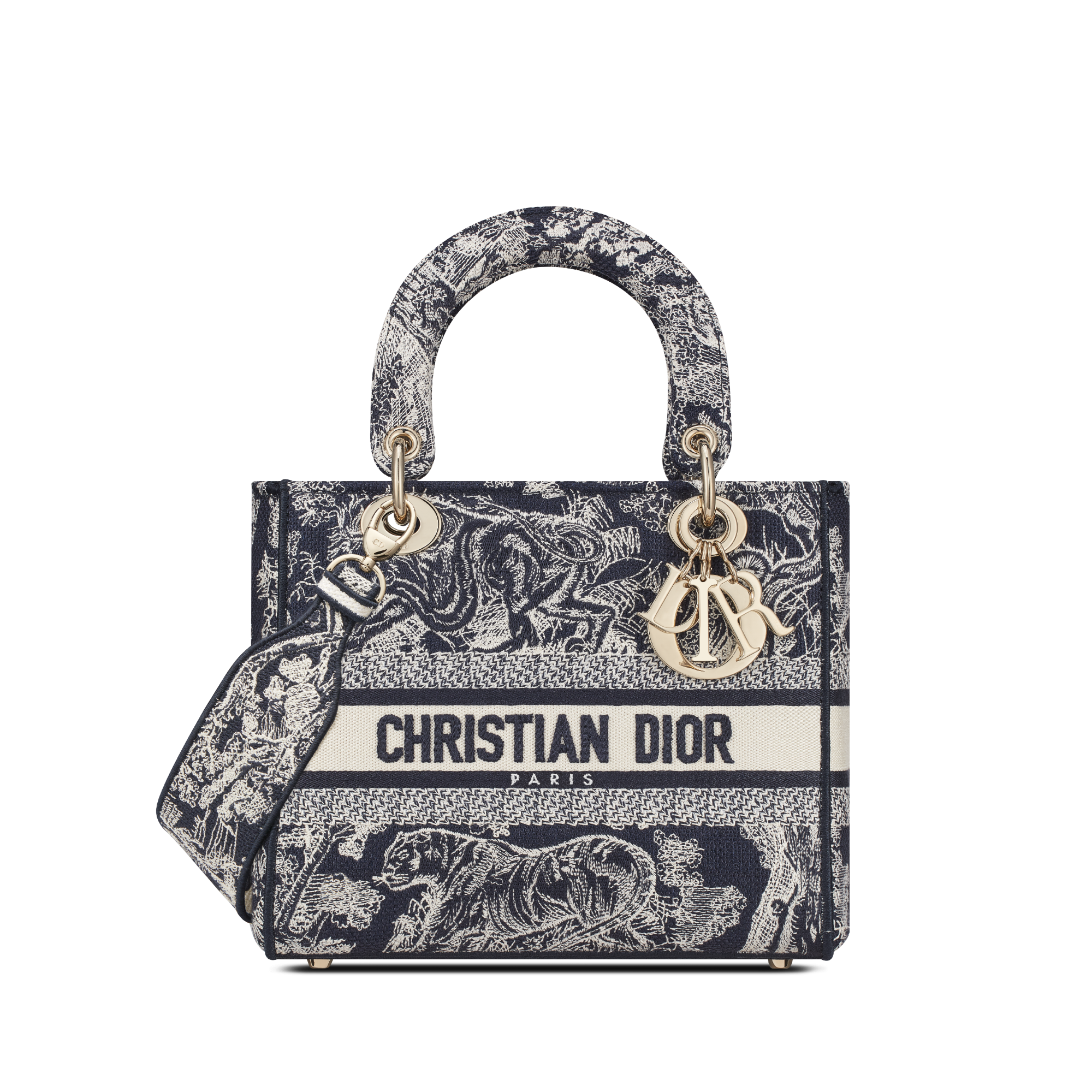 Christian Dior Lady D-Lite Embroidered Crossbody Bag