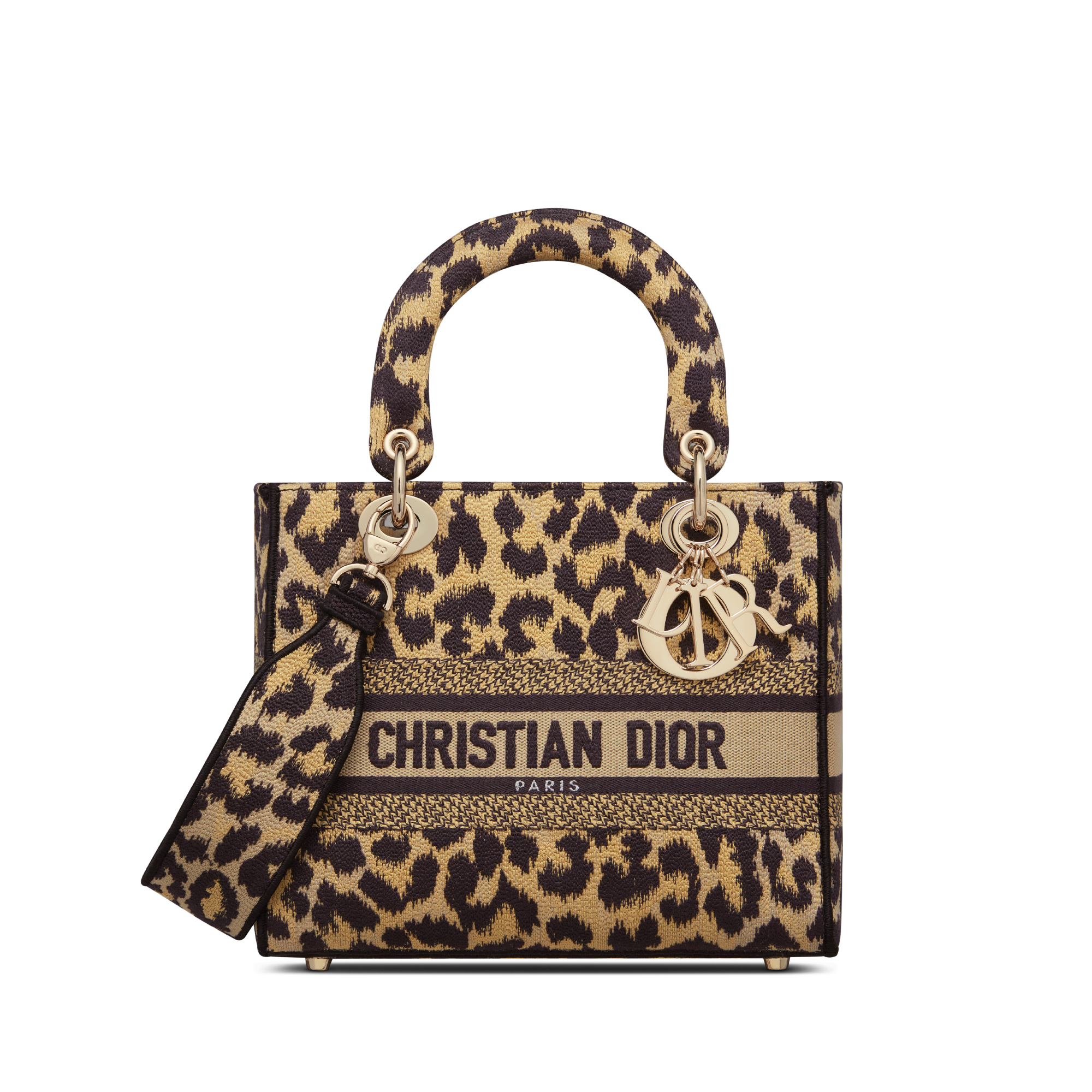 Christian Dior Lady D-Lite Bag Mizza Embroidered Canvas Medium