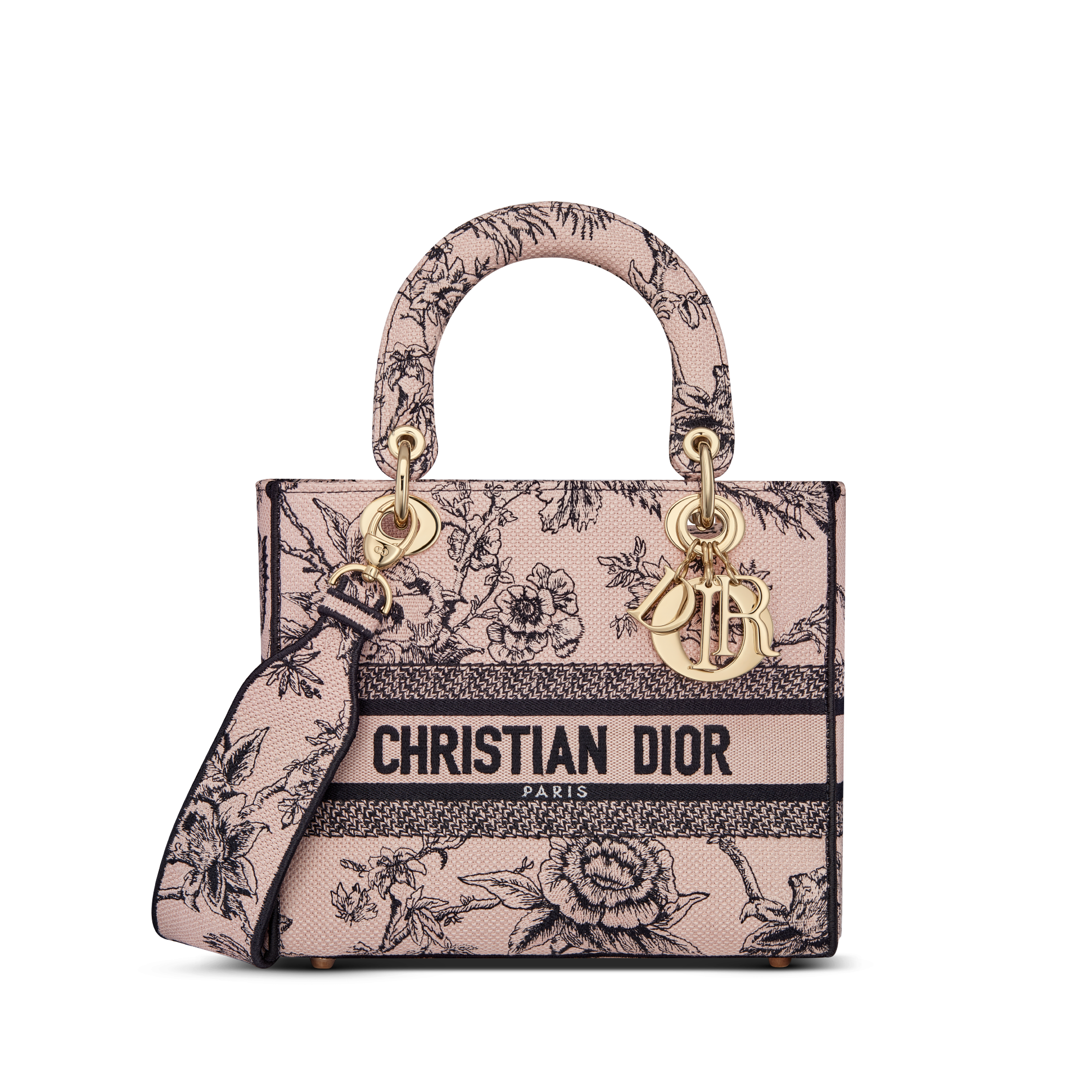 This Is Original Christian Dior Traveling Trolley Bags in East
