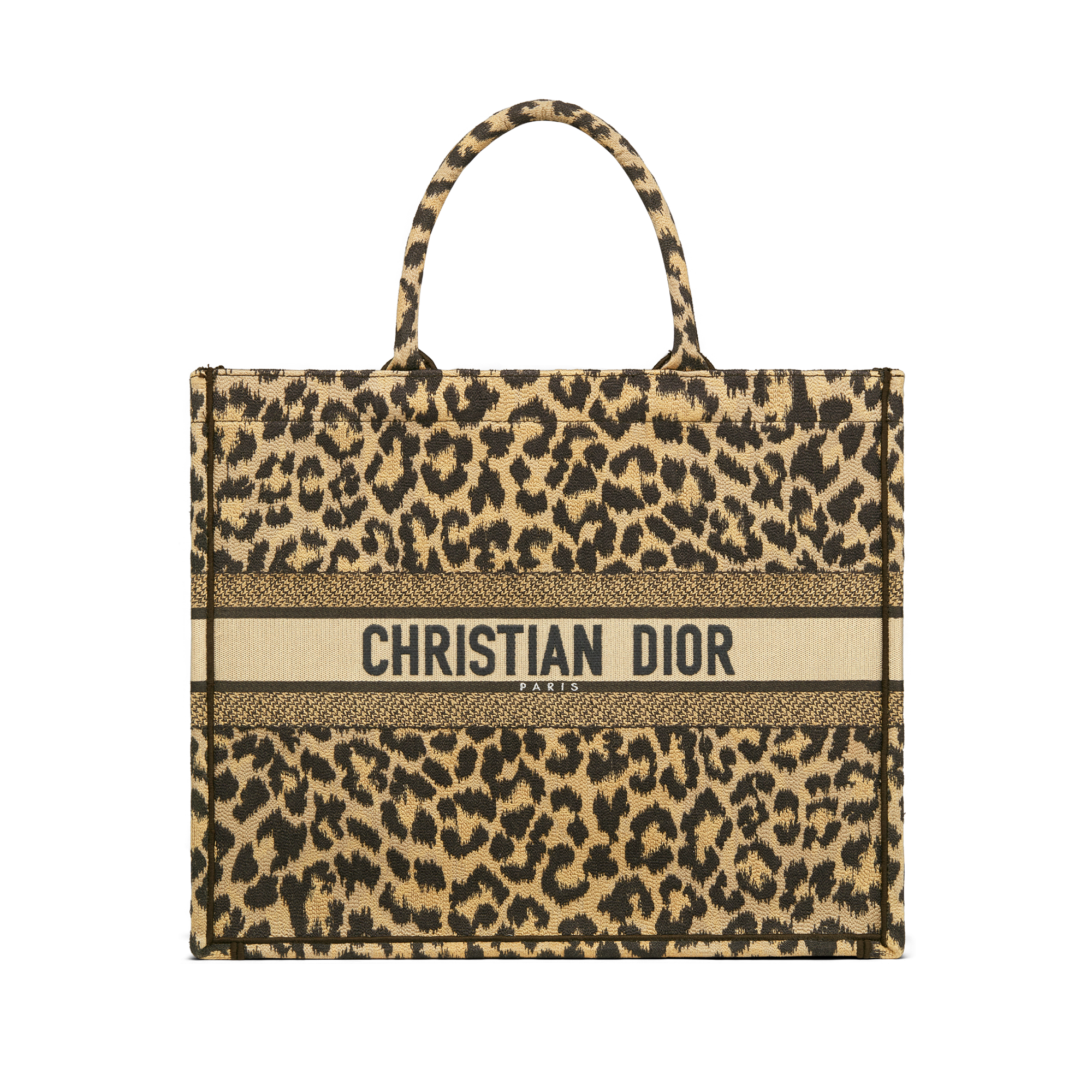 Christian Dior BOOK TOTE 2023-24FW MEDIUM DIOR BOOK TOTE Plan de Paris  Embroidery Beige