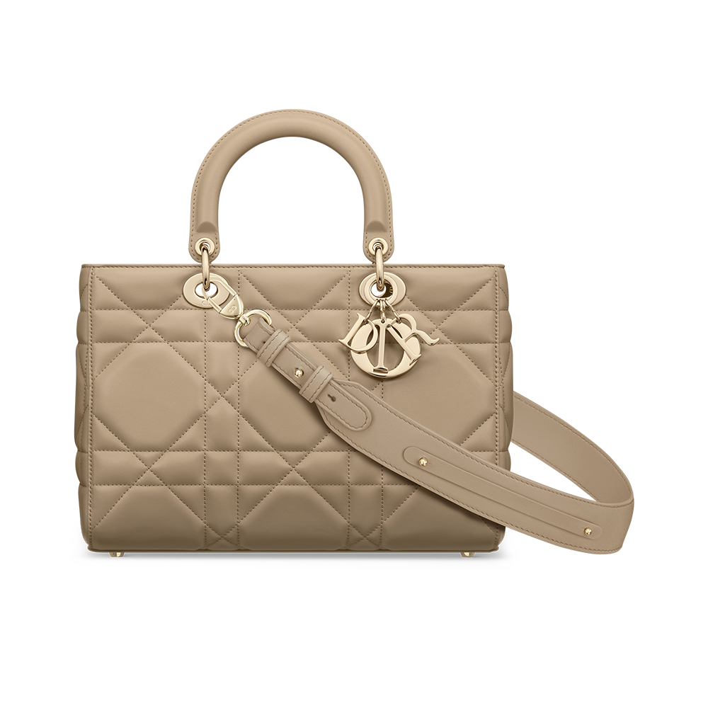 Medium Lady D-Sire My ABCDior Bag