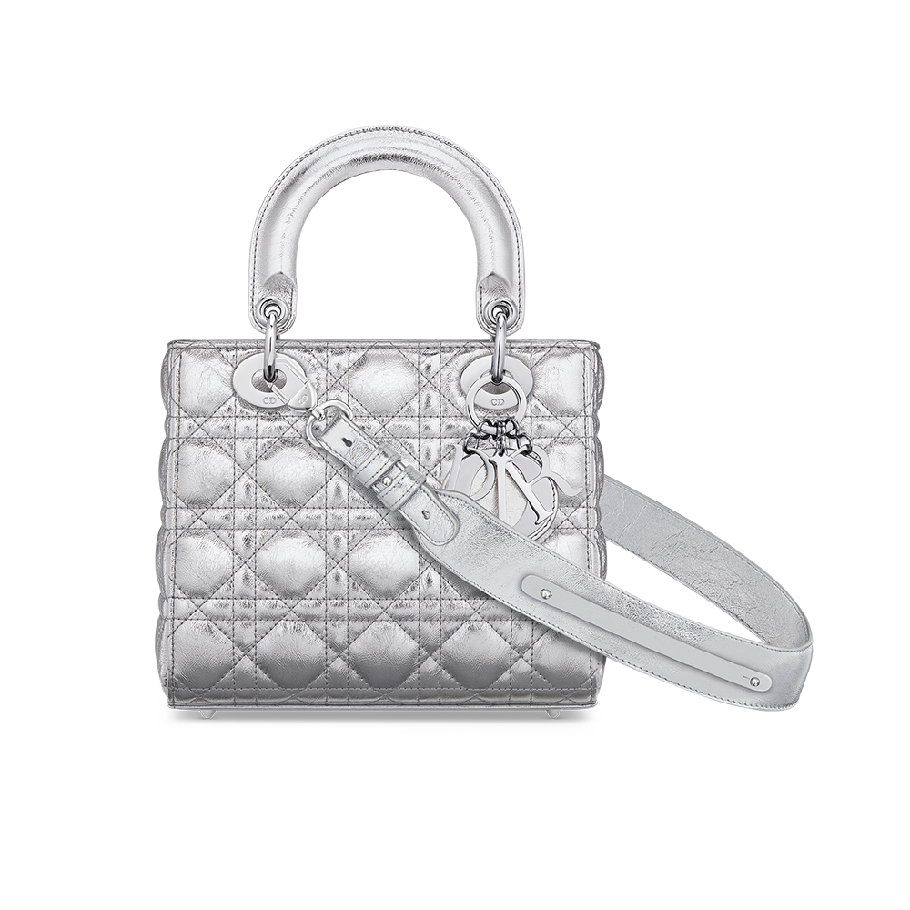 Small Dior Or My ABCDior Lady Dior Bag Silver Tone Iridescent and