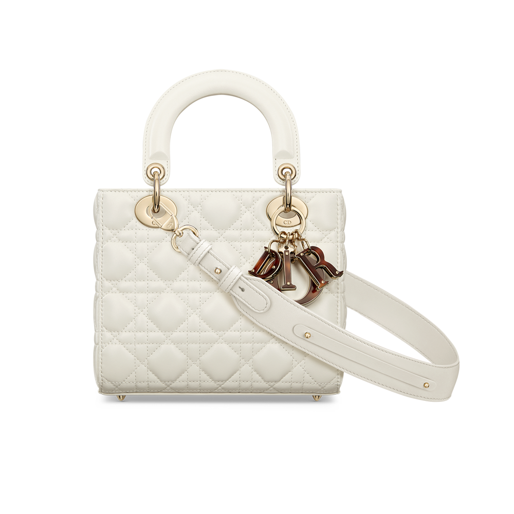 Lady dior 2025 my abcdior bag