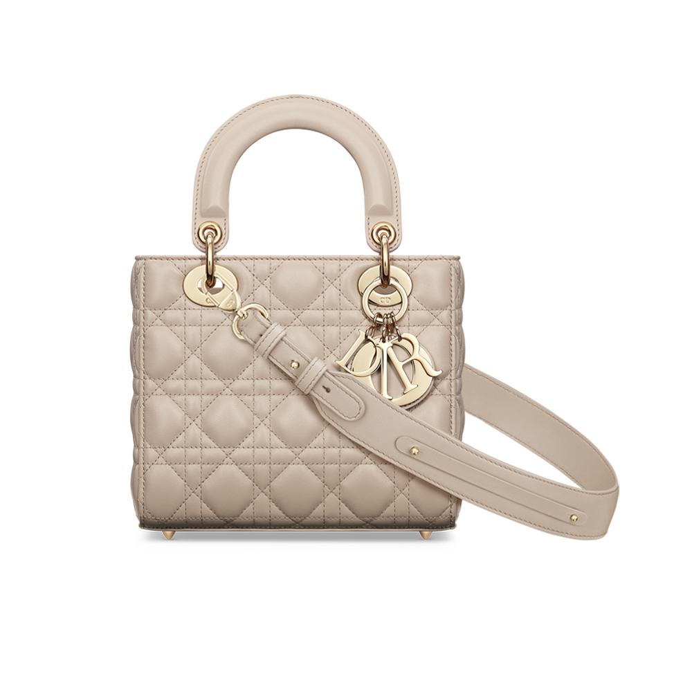 DIOR Bag Review: Is the Lady Dior or The Saddle Bag Better? 