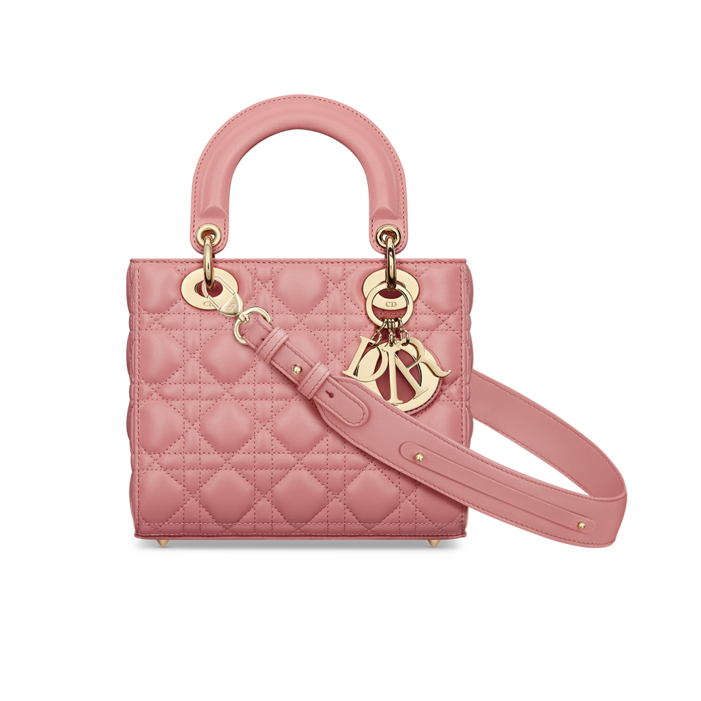 Diorama bag in pale pink leather