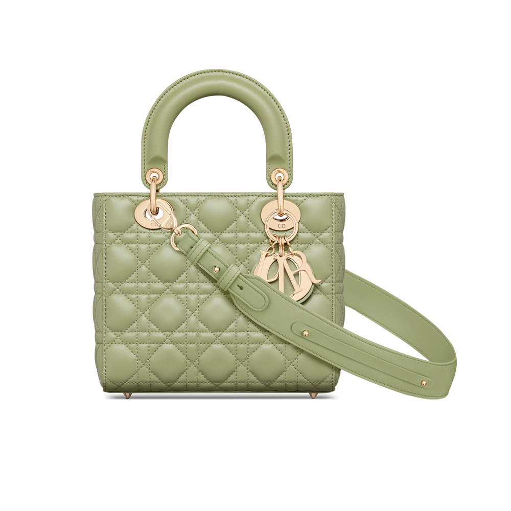 Small on sale dior bag