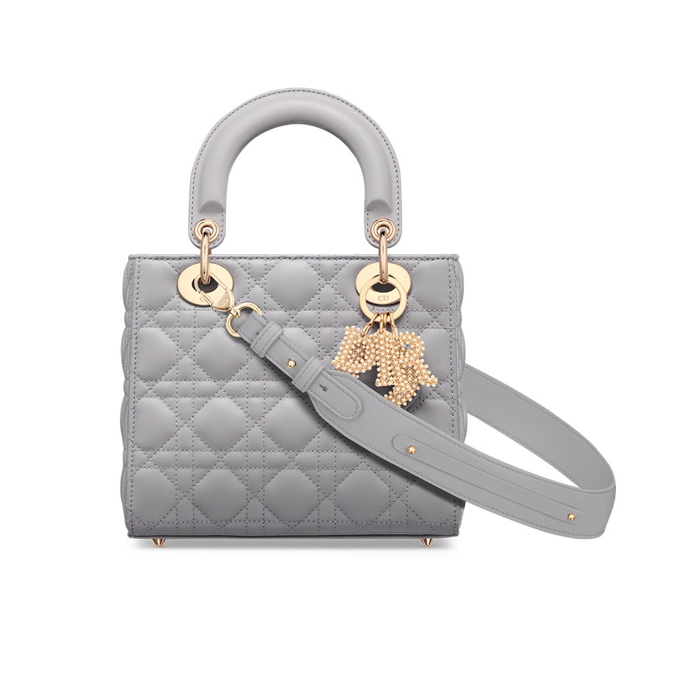 Small Lady Dior My ABCDior Bag