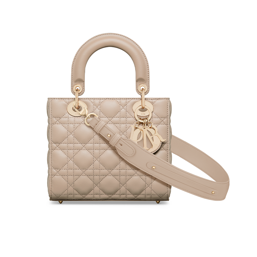 Small Lady Dior My ABCDior Bag