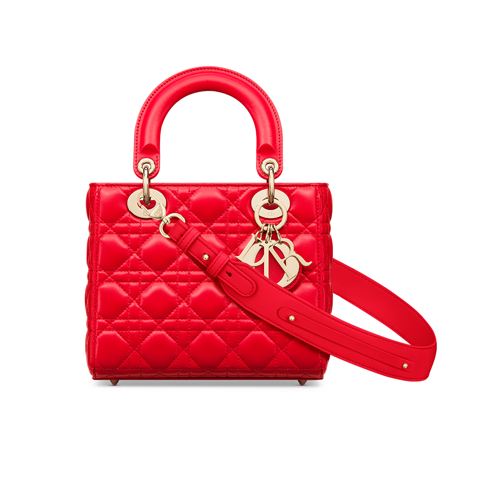 Bolso dior rojo sale