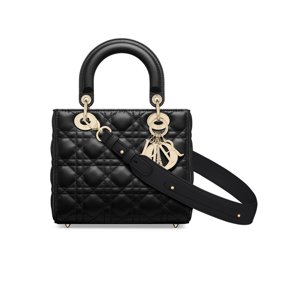 Small Lady Dior My ABCDior Bag