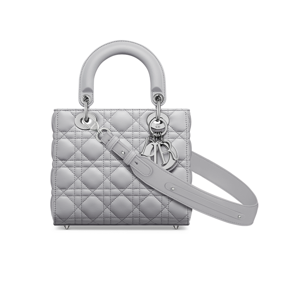 Small Lady Dior My ABCDior Bag