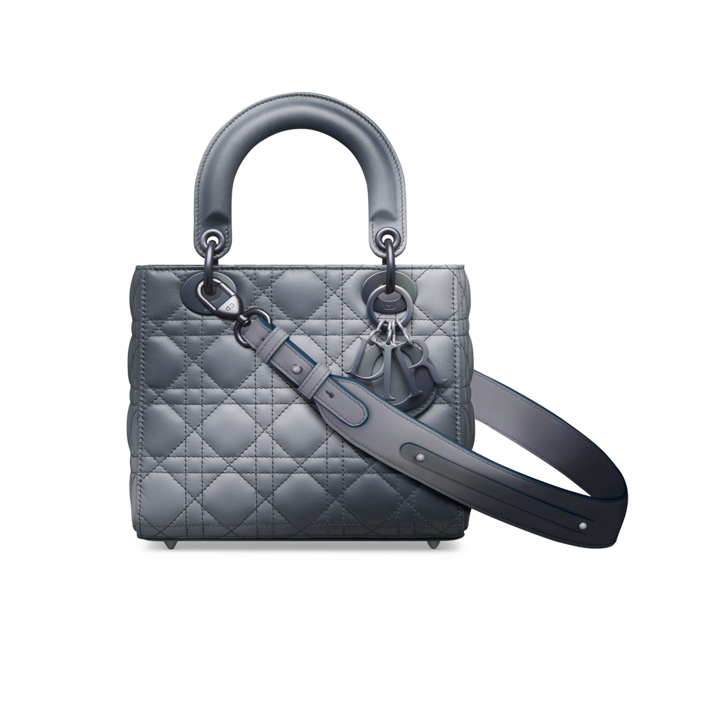 Mini Lady Dior Grey - Brand New - Designer WishBags