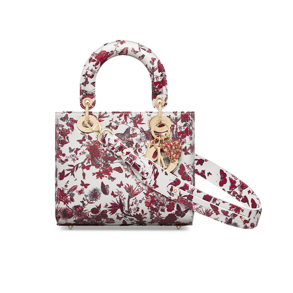 Small Lady Dior My ABCDior Bag White and Red Calfskin with Le C ur