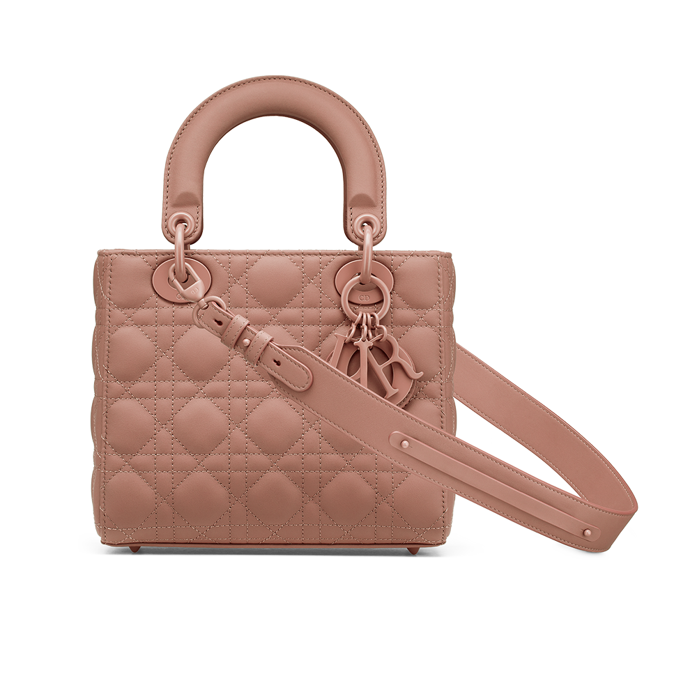 Dior on sale nude bag