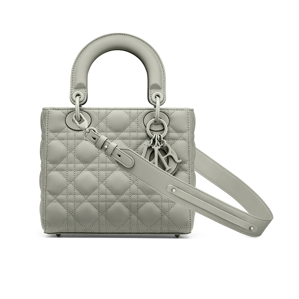 Dior bag gray new arrivals